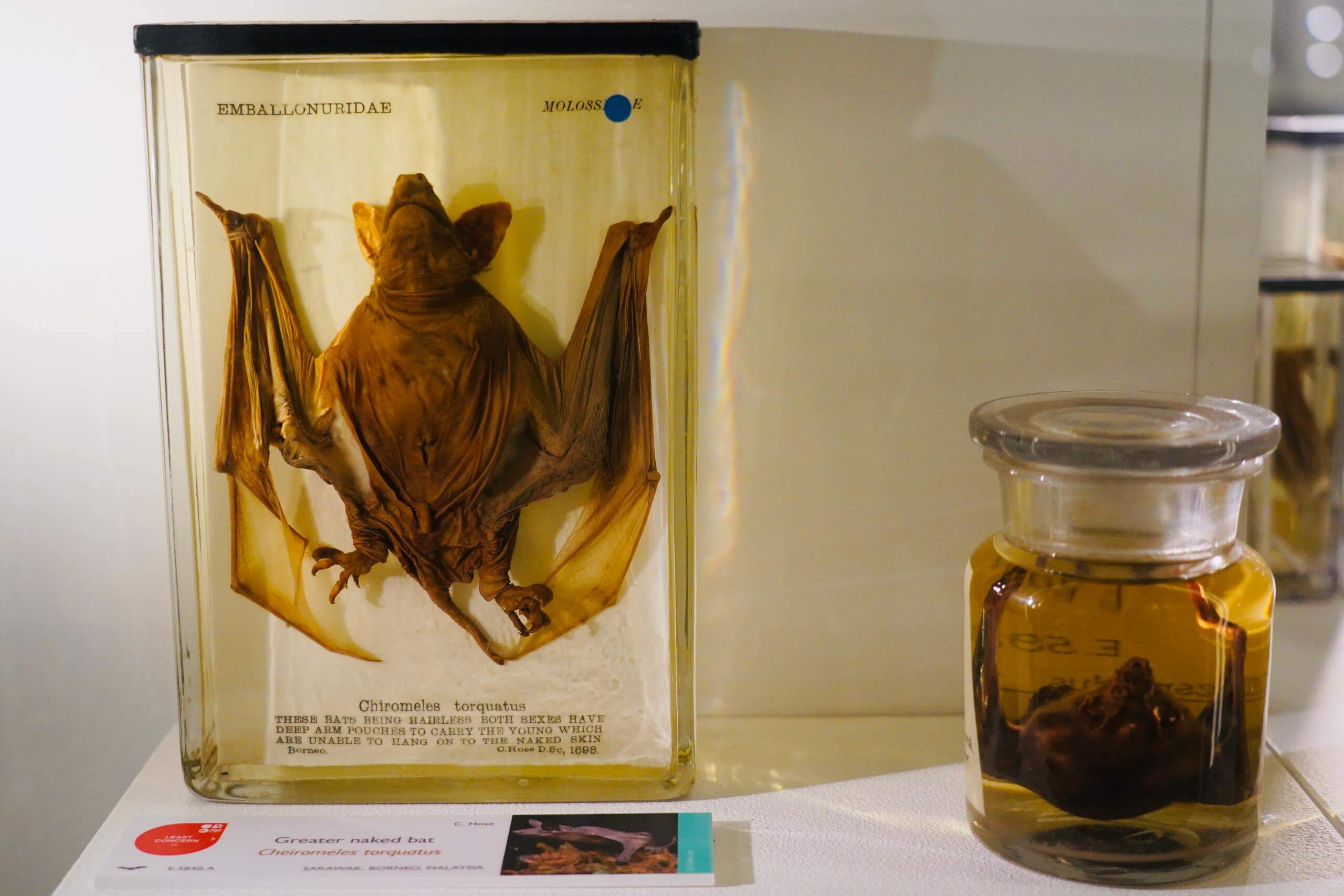 线上预定，更享优惠