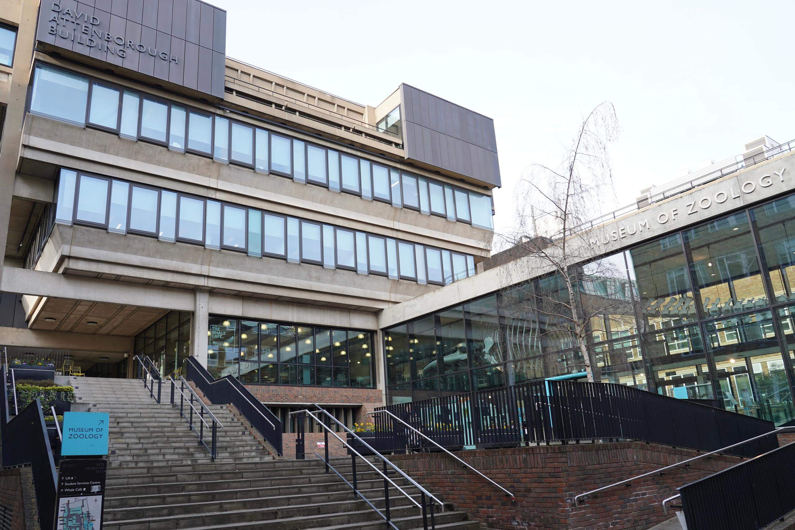 剑桥动物学博物馆私人讲解