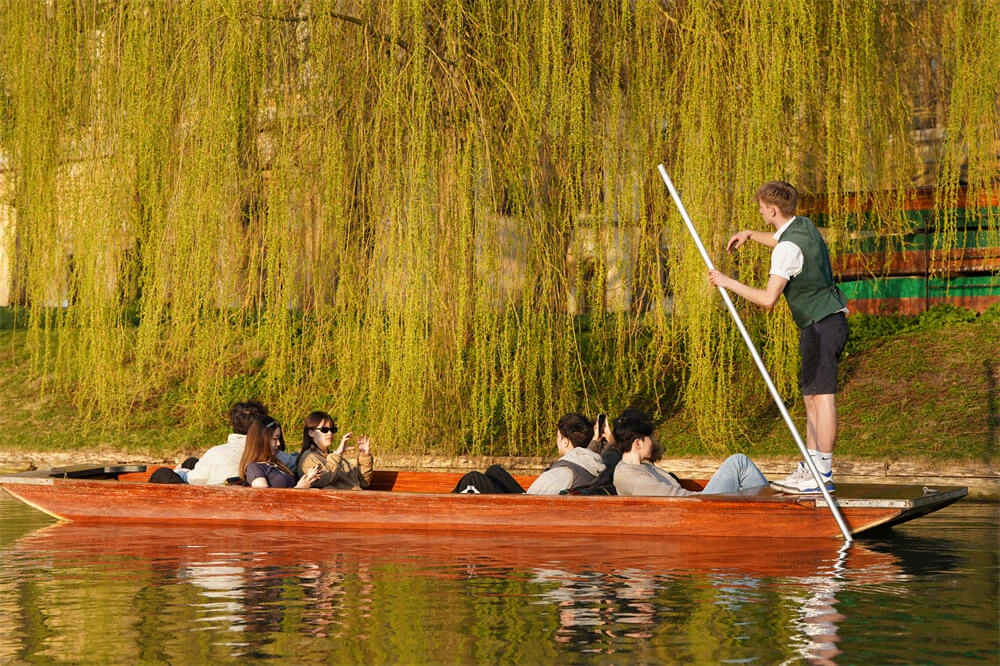 微信图片_20260120064648_837_87