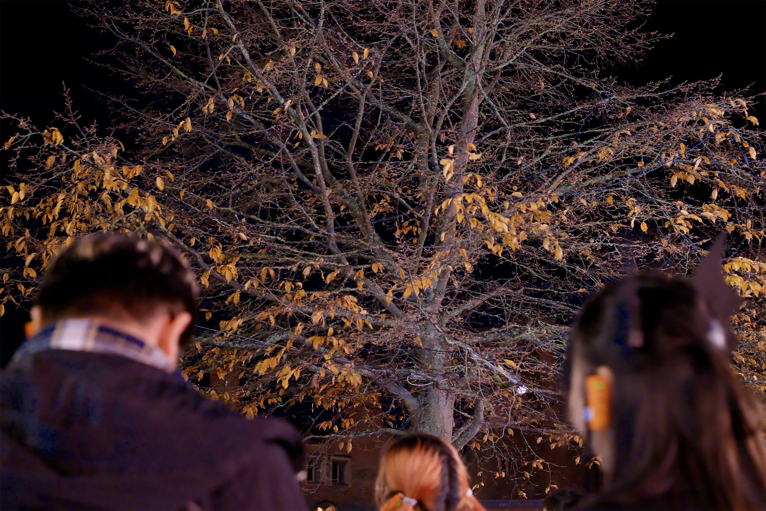 剑桥夜行漫步：一段夜晚的城市体验