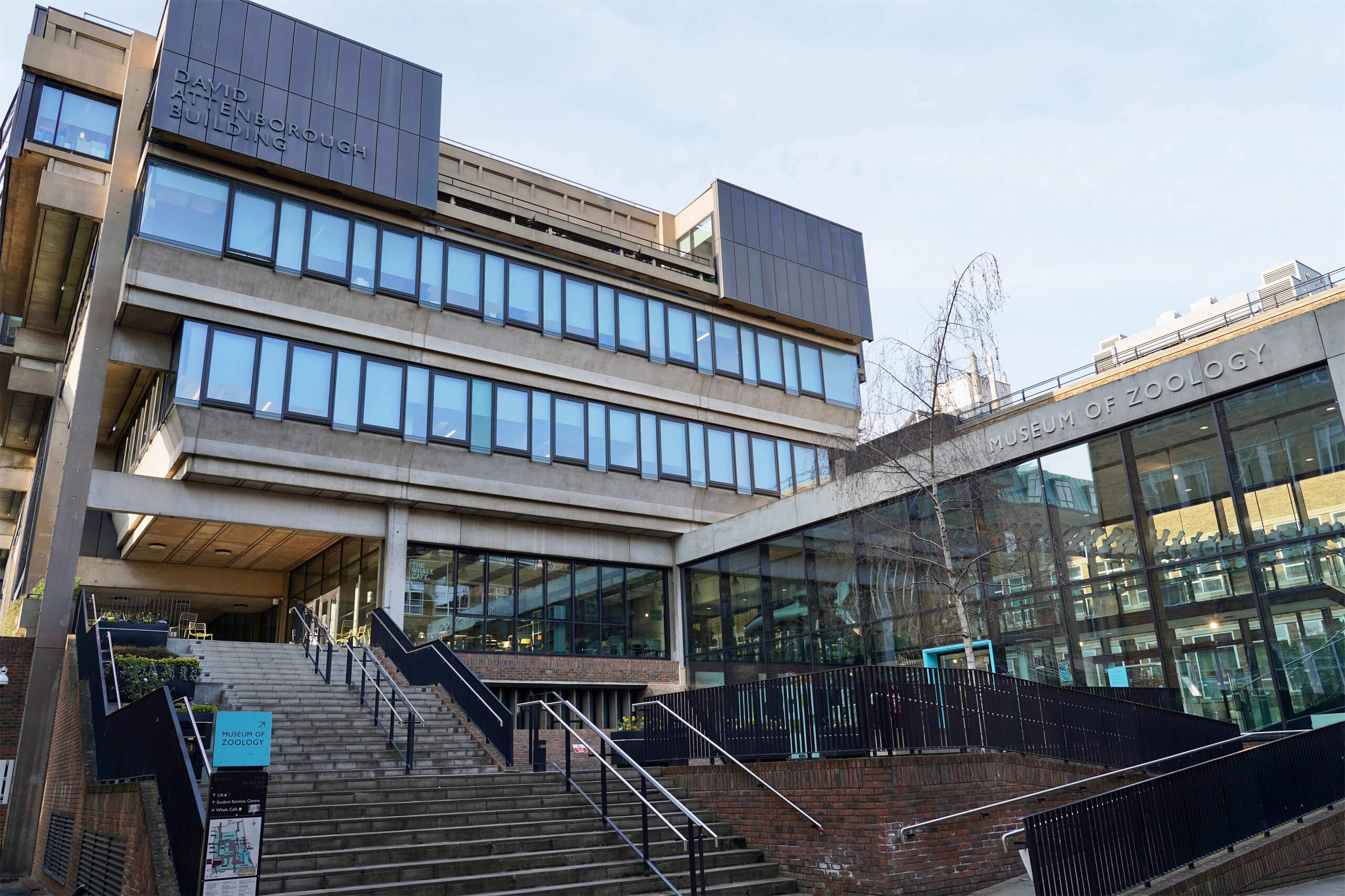 剑桥大学动物学博物馆