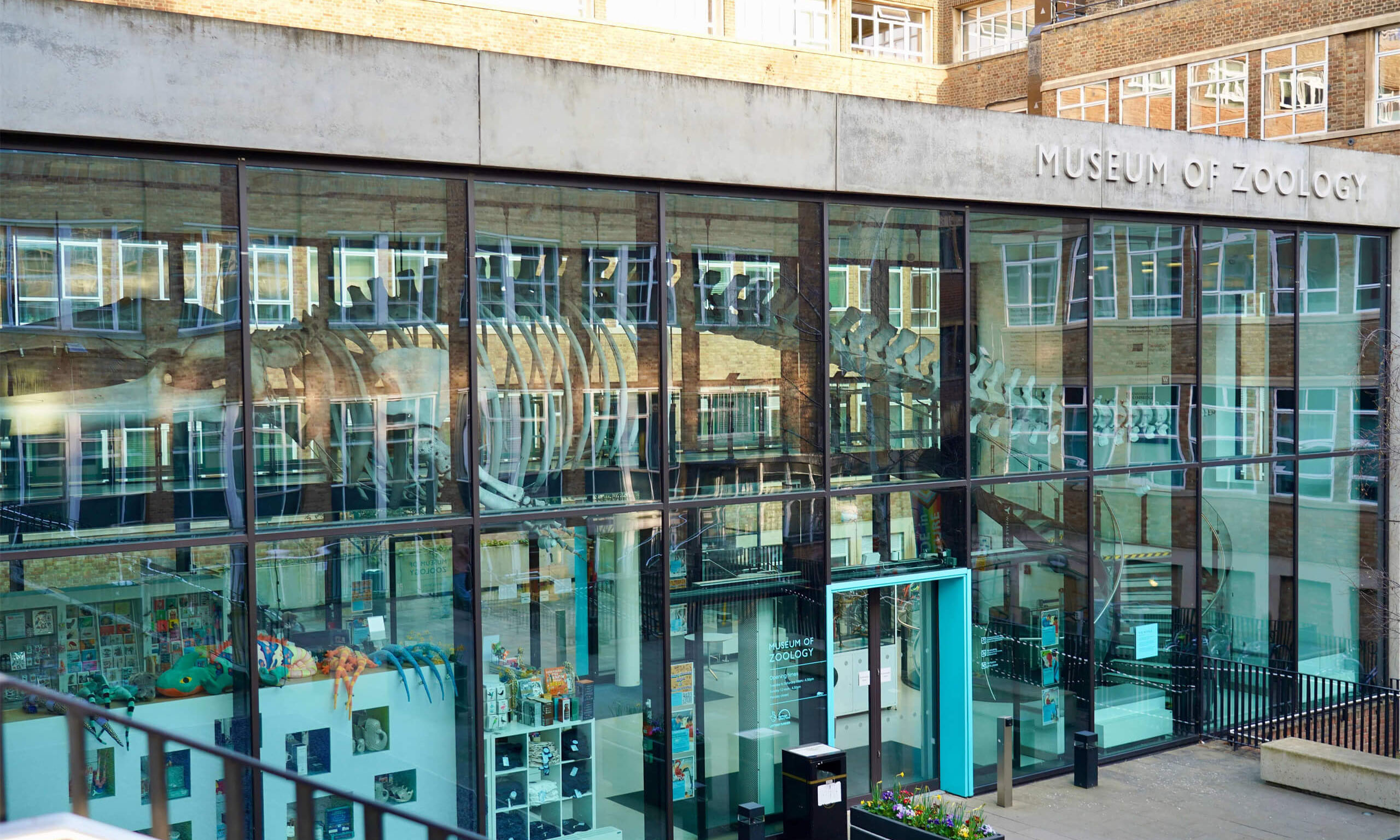 剑桥动物学博物馆讲解 (拼团)